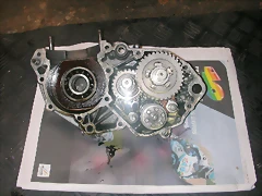 DSCN3596 DSCN3596