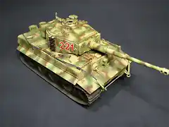 TIGER 14