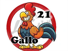 gallo