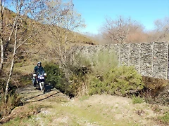 DSCN1523 DSCN1523