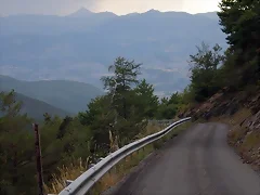 colombis 2 colombis 2