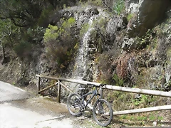 R0012394 R0012394
