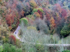 DSCN2820'2 DSCN2820'2
