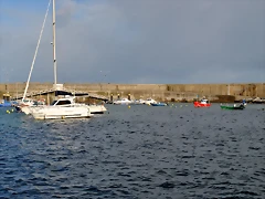 DSC_0543