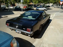 IMG_20150829_110805075 IMG_20150829_110805075