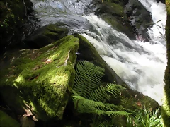 DSCN2806 DSCN2806