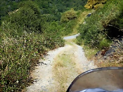 DSCN9224 DSCN9224