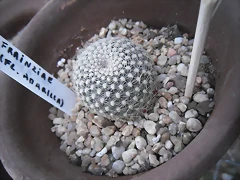 SAM_1130 SAM_1130