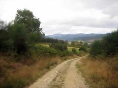 IMG_0450 IMG_0450