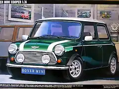 Fujimi Rover Mini Cooper