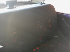 IMAG0278 IMAG0278