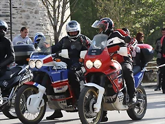 IMG_3593 IMG_3593