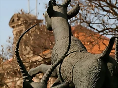 Zoo de Barcelona 14-04-11 579