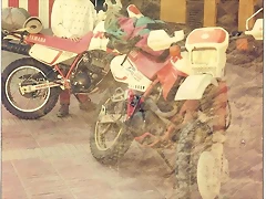 querida xt querida xt
