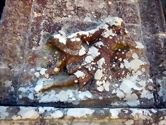 DSCN2207 DSCN2207