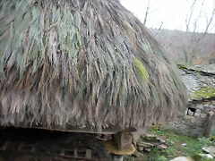 DSCN0939 DSCN0939