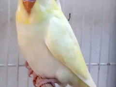 20191230_141012