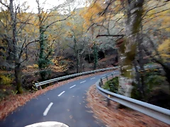 DSCN0100 DSCN0100