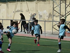 P1060661 P1060661
