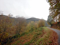 DSCN2924 DSCN2924