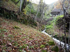 DSCN0481 DSCN0481
