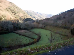 DSCN0117