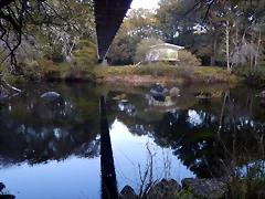 DSCN8980 DSCN8980