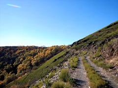DSCN9686 DSCN9686