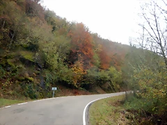 DSCN2749 DSCN2749