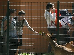 Zoo de Barcelona 03-04-11 560 Zoo de Barcelona 03-04-11 560