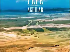 Pepe Aguilarnosoydenadie