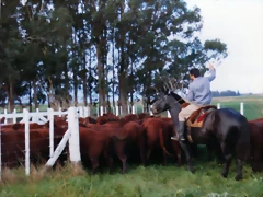 img134