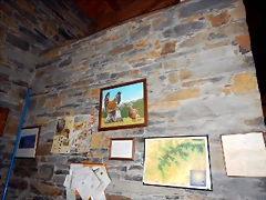 DSCN3317 DSCN3317
