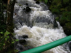DSCN5787 DSCN5787