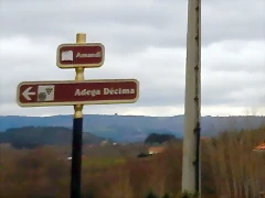 DSCN0244 DSCN0244