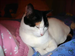mi bb!