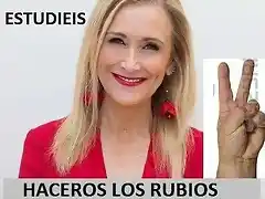 MemesCifuentes2018-2