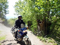DSCN5065 DSCN5065