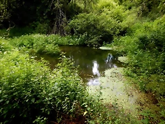DSCN7462 DSCN7462
