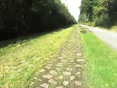 arenberg 1