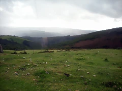 DSCN8424 DSCN8424