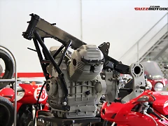IMG_0390 IMG_0390