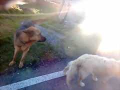 DSCN2620 DSCN2620
