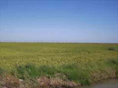 CIMG0772