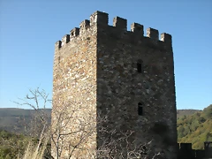 DSCN0011 DSCN0011