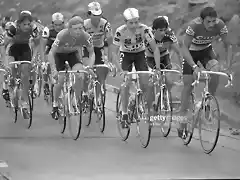 Perico-Tour Suiza 1982-Winnen-Lagu?a-Rooks