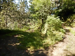 DSCN1648 DSCN1648