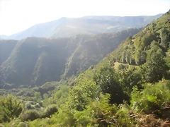 IMG_1054 IMG_1054