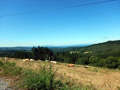 DSCN7568