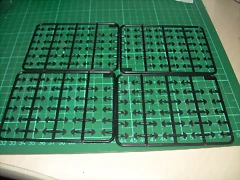 DSCN3057